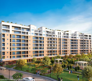 Nicosia Contracting Cyprus Ltd